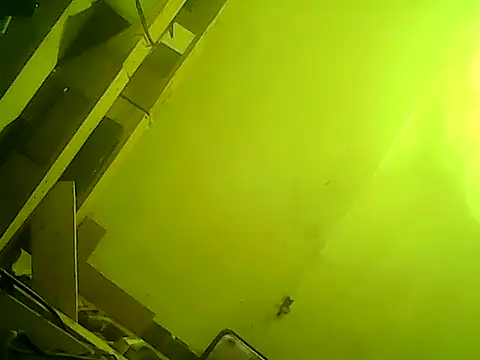 god23free online show from February 2025 03:51:02 PM