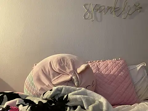 bunnypillow online show from December 2024 04:24:01 AM