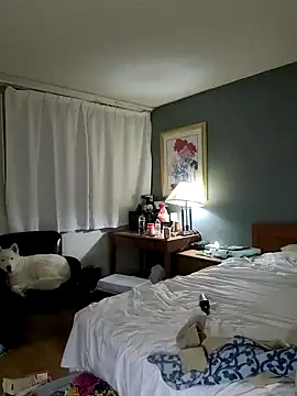 sativagata online show from January 2025 10:42:02 AM