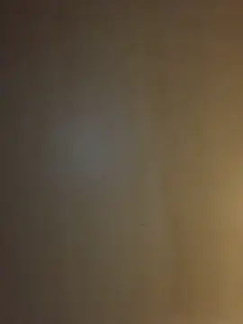 Snapshot of Tristris100 chatting on December 2024 11:17:01 AM Tristris100 online show from December 2024 11:17:01 AM