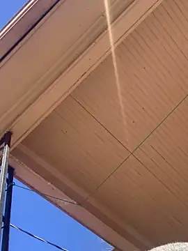 Snapshot of Tristris100 chatting on February 2025 08:03:02 PM Tristris100 online show from February 2025 08:03:02 PM