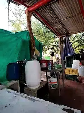 Brenda Berck  online show from March 2026 02:02:02 PM