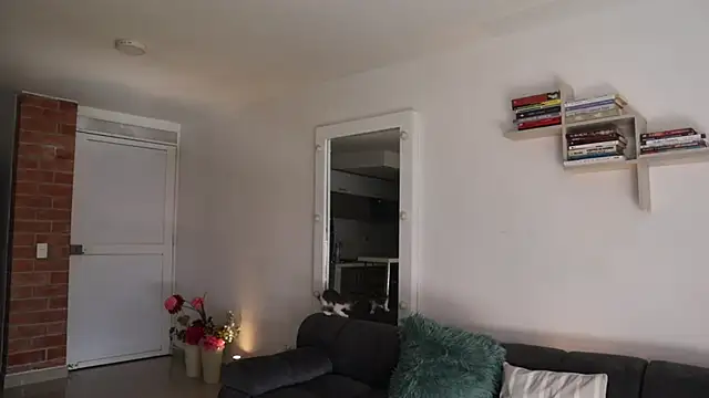  Vahos  online show from November 2025 05:15:02 PM