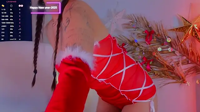 Snapshot of a11yson chatting on December 2024 08:34:02 PM a11yson online show from December 2024 08:34:02 PM