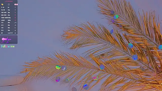 Snapshot of a11yson chatting on February 2025 02:26:02 PM a11yson online show from February 2025 02:26:02 PM