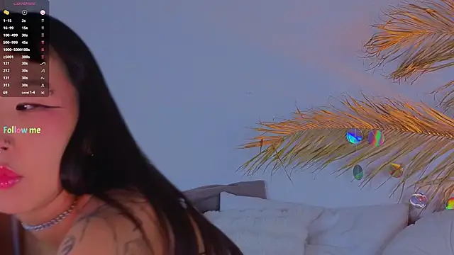 Snapshot of a11yson chatting on February 2025 03:27:01 PM a11yson online show from February 2025 03:27:01 PM