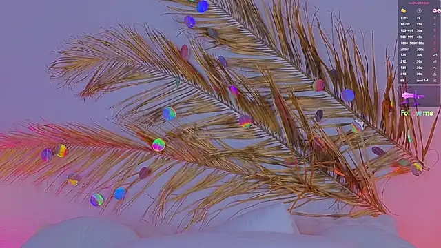 Snapshot of a11yson chatting on March 2025 02:55:01 PM a11yson online show from March 2025 02:55:01 PM