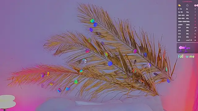 Snapshot of a11yson chatting on March 2025 06:00:02 PM a11yson online show from March 2025 06:00:02 PM