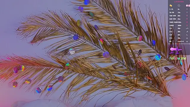 Snapshot of a11yson chatting on March 2025 05:35:02 PM a11yson online show from March 2025 05:35:02 PM