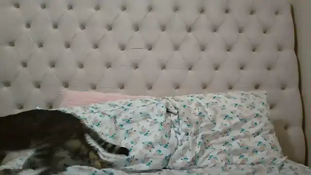 beautylovess online show from February 2026 11:42:02 PM