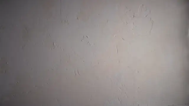 pinkgirls18 online show from February 2026 10:08:02 AM