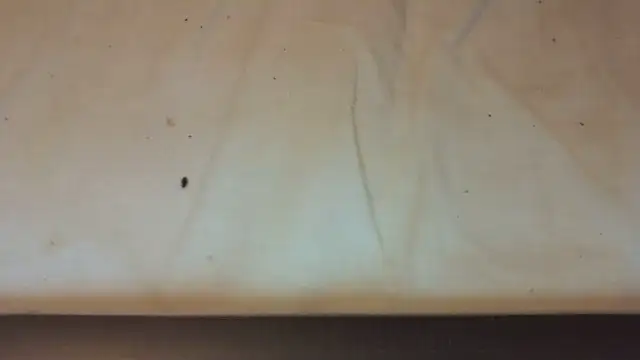 Helly97 online show from October 2025 08:07:01 PM