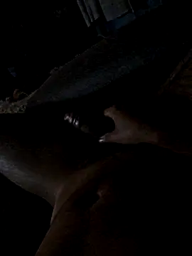 jorgenew online show from November 2025 09:09:01 AM