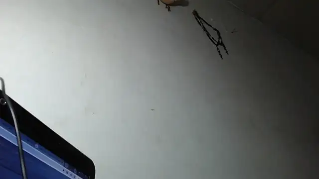 adrixxx38 online show from March 2026 12:17:02 AM