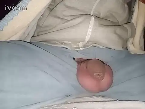 Snapshot of Bigdick666cm chatting on January 2025 03:04:02 AM Bigdick666cm online show from January 2025 03:04:02 AM