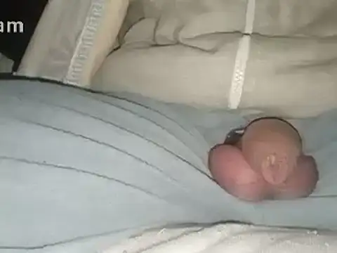 Snapshot of Bigdick666cm chatting on February 2025 03:43:02 AM Bigdick666cm online show from February 2025 03:43:02 AM