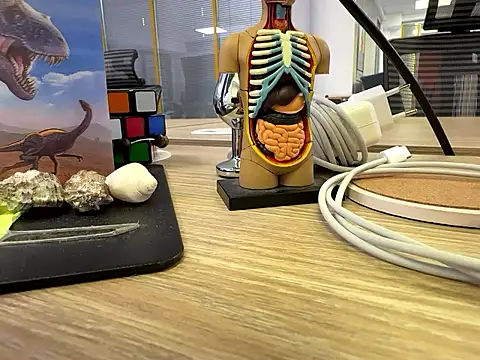 fmodel online show from September 2025 11:24:02 AM