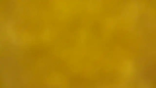 fmodel online show from December 2025 02:33:01 PM