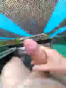 Snapshot of Alvaro2017 chatting on February 2025 01:16:02 PM Alvaro2017 online show from February 2025 01:16:02 PM