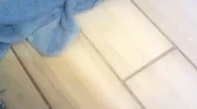 blasphemous online show from January 2025 10:45:01 PM