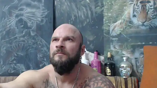 viking 30 online show from October 2025 07:58:02 PM