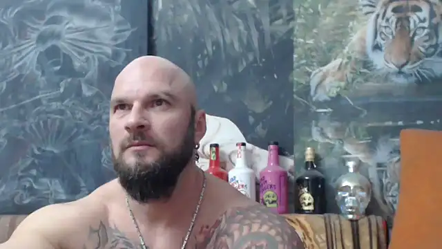 viking 30 online show from November 2025 07:41:02 PM