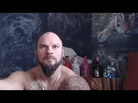 viking 30 online show from December 2025 08:07:02 AM