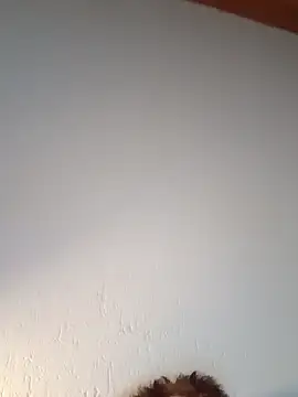 Kw8585kw online show from March 2026 01:11:01 AM