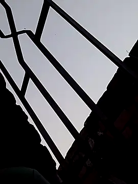 Shahidraza123465  online show from November 2025 11:14:01 AM