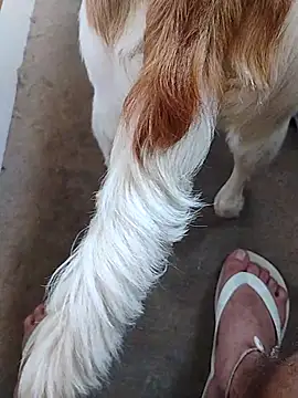 Snapshot of yourboysexy19 chatting on December 2025 09:01:02 PM yourboysexy19 online show from December 2025 09:01:02 PM