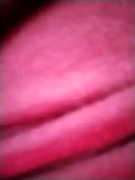 EvaCristal online show from November 2025 09:12:02 AM