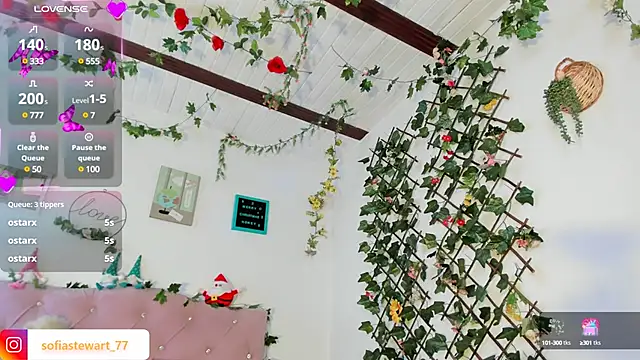 steewart  online show from December 2024 11:28:02 PM