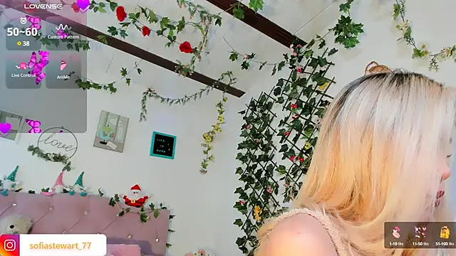 steewart  online show from January 2025 04:04:01 AM