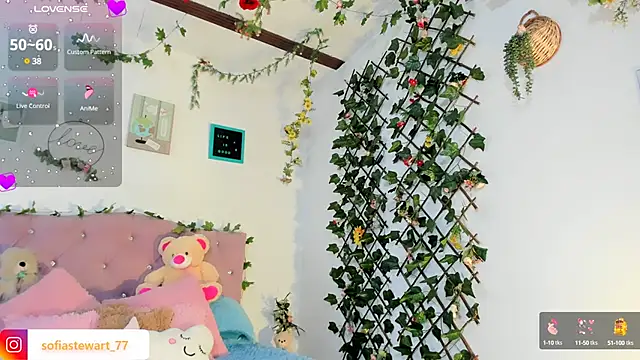 steewart  online show from January 2025 03:55:02 AM