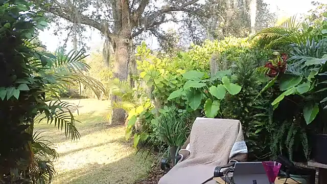 Snapshot of eliberator1777 chatting on January 2025 09:37:01 PM eliberator1777 online show from January 2025 09:37:01 PM