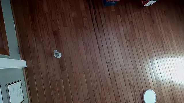 Snapshot of riverside197575 chatting on October 2025 09:08:02 AM riverside197575 online show from October 2025 09:08:02 AM