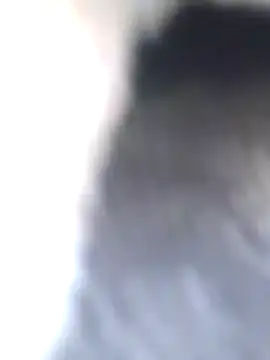 Snapshot of Dirtyfeelin chatting on January 2025 08:40:01 AM Dirtyfeelin online show from January 2025 08:40:01 AM