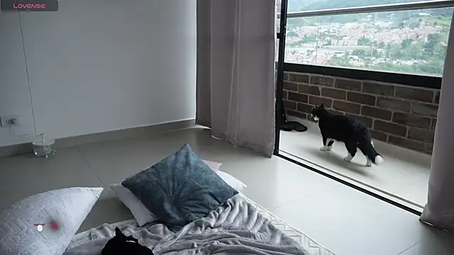 Veronica ar online show from February 2025 07:24:02 PM