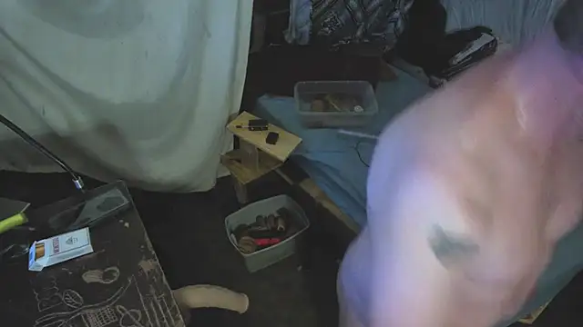 sex4fun 21 online show from July 2026 07:23:01 AM