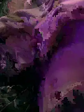 K100x online show from December 2025 08:28:02 PM