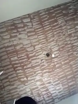 Snapshot of catdool chatting on February 2025 06:57:02 PM catdool online show from February 2025 06:57:02 PM