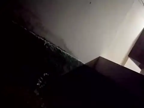 Snapshot of catdool chatting on February 2025 12:43:01 AM catdool online show from February 2025 12:43:01 AM