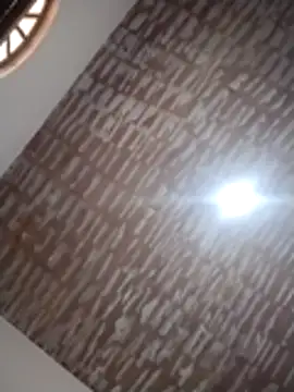 Snapshot of catdool chatting on December 2025 12:21:01 PM catdool online show from December 2025 12:21:01 PM