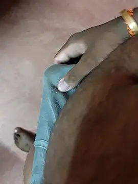 dinesh682 online show from April 2026 06:44:01 AM