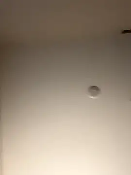 DancingLemonade online show from November 2025 11:49:02 AM