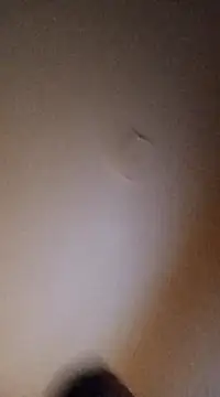 BunnyandClydeDk online show from March 2025 03:44:01 AM