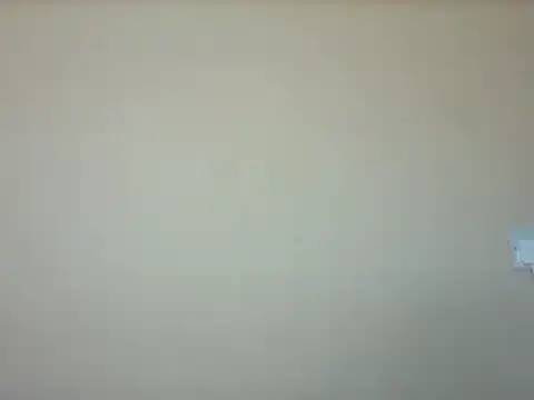 Snapshot of bigmelon chatting on March 2025 07:59:01 PM bigmelon online show from March 2025 07:59:01 PM