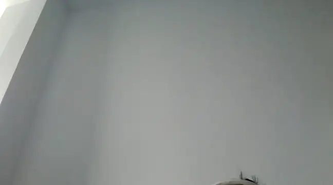 FallenDevil online show from December 2024 11:40:01 AM