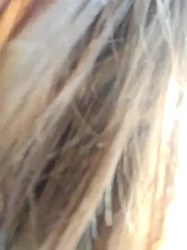 TassiTyne online show from November 2025 10:14:01 AM