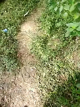 rameshmry1 online show from January 2026 04:59:01 AM